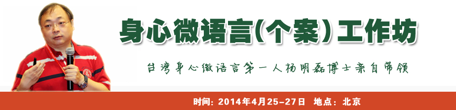 杨明磊博士身心微语言(个案)工作坊