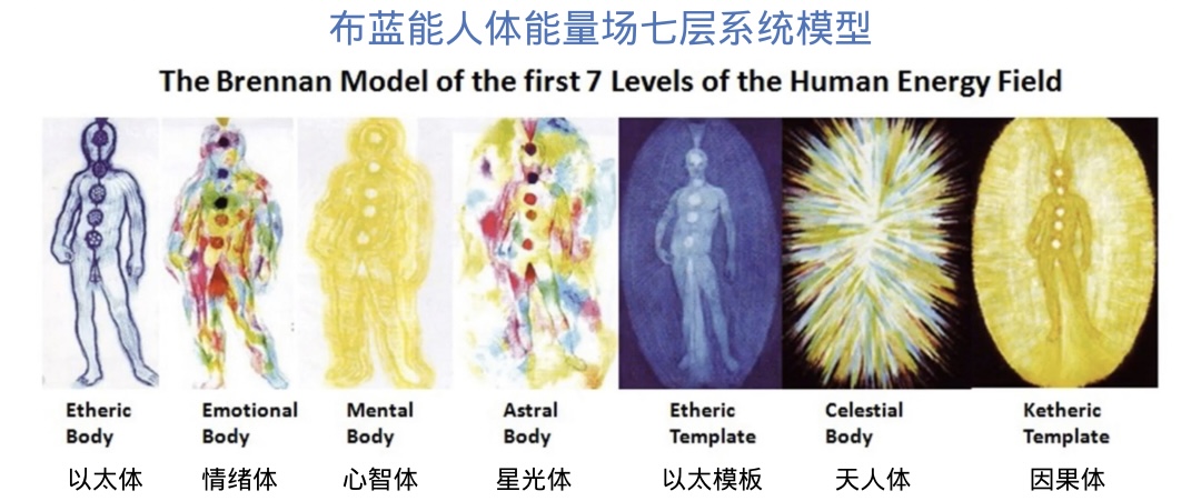布兰能人体能量场七层系统模型