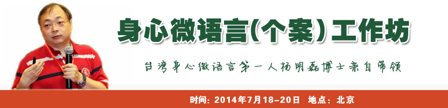 杨明磊博士身心微语言(个案)工作坊