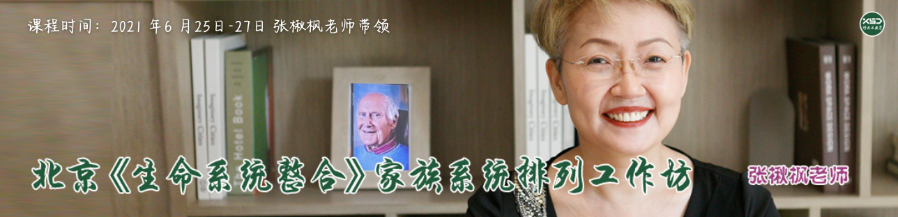 鱷ʦסϵͳģγ