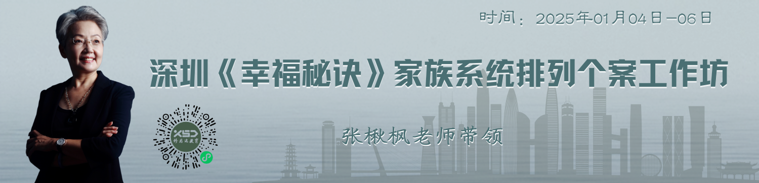 张楸枫老师《洞悉》家族系统排列个案工作坊-泰山之行